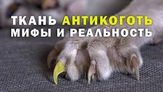 ТКАНЬ АНТИКОГОТЬ - МИФЫ И РЕАЛЬНОСТЬ