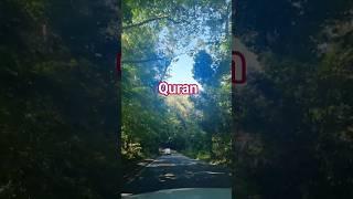 Learning Quran ️ #short #shortvideo #youtubeshorts #islamicshorts