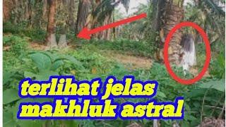 UNTUNG DI REKAM ADA PENAMPAKAN MAKHLUK  BUNIAN/makhluk bunian