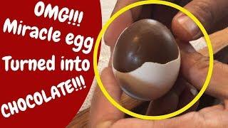 EGG TURNED INTO CHOCOLATE, HOW???!!!