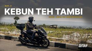 DAY 3 | Tambi atau Ciwidey? | Dieng - Jogja via Tambi | SUTRIP 2024