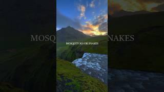 This is the only country in the world with no mosquitoes or snakes #iceland #wisdom #motivation