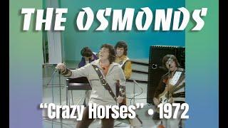 The Osmonds • “Crazy Horses” • 1972 [Reelin' In The Years Archive]