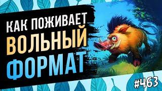 Чем сейчас играют в вольном формате!? | Hearthstone