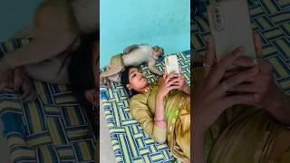 Sanware ko dil main basa kar to dekho #monkeyvideosforkids #monkey #shree_krishna_ringtone