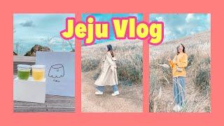 Eng) JEJU TRAVEL VLOG  Jandi Dao Review Những Nơi Du Lịch Ở JEJU Mà Chỉ Giới Trẻ HÀN QUỐC Biết 