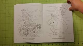 The Arctic and antarctic life Dover coloring book review adult coloring flip through
