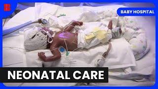 NICU Nurses: Everyday Heroes  - Baby Hospital - Medical Documentary