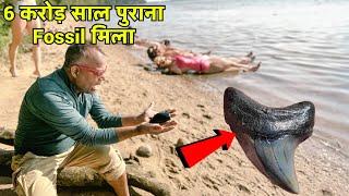 अमेरिका में जीवाश्म की खोज Shart teeth Discovery vlog APNA AMERICA