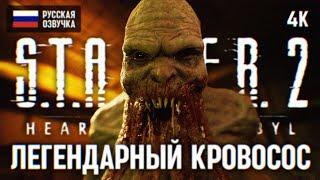 STALKER 2 ПРОХОЖДЕНИЕ НА РУССКОМ #2 [RTX 4090 4К]  СТАЛКЕР 2 ПОЛНОЕ ПРОХОЖДЕНИЕ ОБЗОР ГЕЙМПЛЕЙ