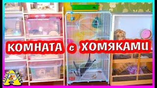 Рум-Тур по Комнате с Хомяками / Где ЖИВУТ Все Питомцы / Alisa Easy Pets