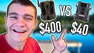 CHEAP vs EXPENSIVE Trail Camera Challenge! - Kendall Gray