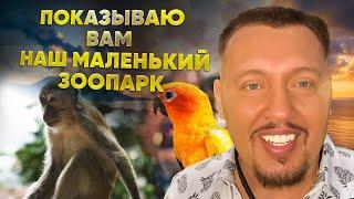 Искусство уединения с Богом | Апостол Владимир Мунтян