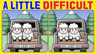 Spot the Difference | Want to Improve Your Puzzle Skills FAST? Watch This Now《A Little Difficult》