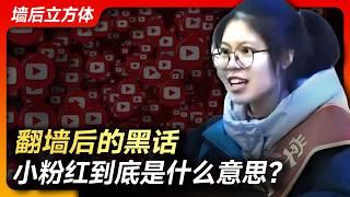 翻墙后的黑话，小粉红到底是什么意思？丨小粉红丨维尼熊丨8964丨支那丨5毛丨1450