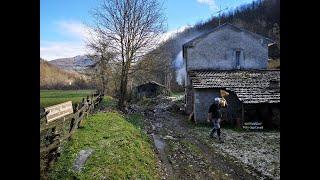 Il Mulino Marghera