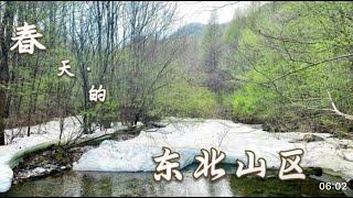 春季在本溪关门山国家森林公园溯溪穿越10公里，山里的冰还未消融，林蛙开始产卵，