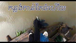 កន្លែងចាស់ នៅតែល្អលេង Amazing Traditional Cast Net Fishing | #584