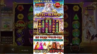 [슬롯][슬롯머신]게이츠 오브 올림푸스(GATES OF OLYMPUS)오늘바닥에서 빨강번개 떨어졌습니다!!시청자분 축하드립니다.^^ #슬롯 #슬롯머신#온라인슬롯 #shorts
