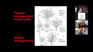 An approach to pruning you won't forget By: Dr. Ed Gilman