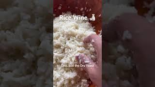 Making Rice Wine 