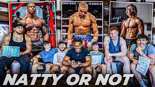 FITNESS INFLUENCERS EXPOSE THE INDUSTRY | Natty Or Not