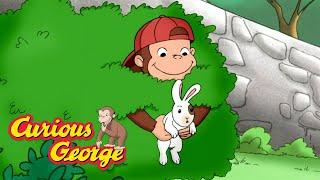 George Meets A New Animal Friend  Curious George  Kids Cartoon  Kids Movies