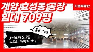 인천 계양구 효성동 공장매매임대 1층 409평 4층 300평 709평 통임대가능 호이스트2.8톤 5톤리프트 대형차진출입가능 인천다올부동산 010-5781-2288