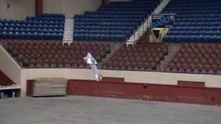 Jamie Hicks-F3P maneuver demo flight