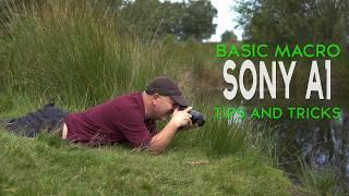 Basic Macro Photography with the Sony A1 - Tips and Tricks