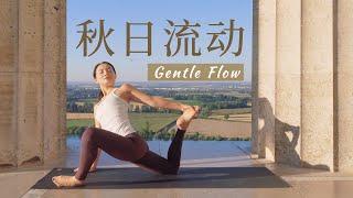 【35MIN秋日流瑜伽】舒展骨盆 滋养气血 暖身活络 平衡神经 Gentle Flow | Yue Yoga