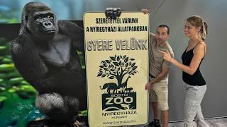 Kipróbáltuk a NYÍREGYHÁZI ÁLLATPARK új élményeit @sostozoo