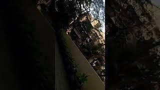 #MahbubAlam 1234