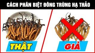 90% người mua không biết điều này | Cách phân biệt đông trùng hạ thảo THẬT - GIẢ?