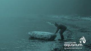 Finding Vortex | Douglas Coupland's New Art Installation