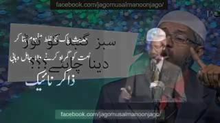 Dr zakir Naik ki Gustakhi