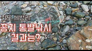 [통발] 진도 세방리 꽁치 미끼로 통발낚시 결과는...? / fish trap /진도/세방리/통발