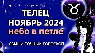 ТЕЛЕЦ - НОЯБРЬ 2024. ГОРОСКОП. Астролог Olga #olgaastrology #ноябрь #петлямарса