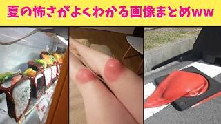 【神回】夏の怖さがよくわかる画像いろいろまとめてたら笑える動画になったから最後まで見てくれよな！！