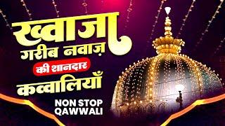 ख्वाजा गरीब नवाज की बेहतरीन कव्वालियाँ | New Khwaja Garib Nawaz Qawwali | 2024 Hits Qawwali