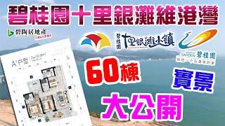 【碧陶居地產·大灣區頻道】碧桂園十里銀灘維港灣！60棟無敵海景 實景 大公開！！