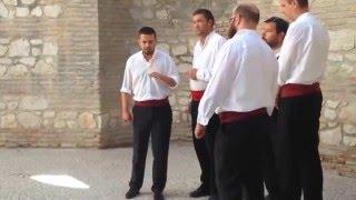 Traditional Dalmatian Klapa Singing at Diocletian's Palace, Split, Croatia