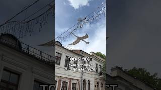 ТОП-5 мест для осеннего путешествия. #minsk #belarus #беларусь #минск #путешествие #путешествия