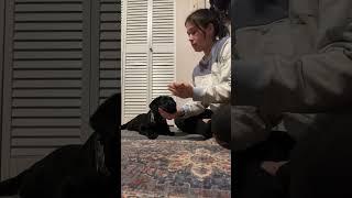 How to Teach a Chin Rest