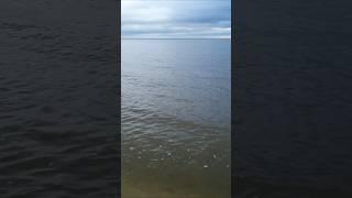 Київське море дуже гарне! Природа УкраїниThe Kiev sea is very beautiful! Nature of Ukraine