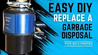 Replacing an InSinkErator Badger Garbage Disposal - Easy DIY for Beginners