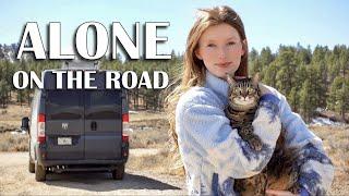 Solo VANLIFE with a CAT | Navigating Grief & Finding Peace on the Road