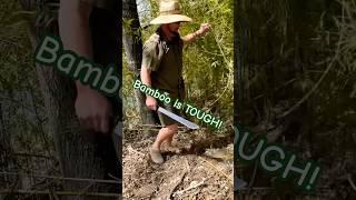 $7 Machete vs Bamboo!