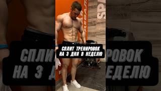 ЛУЧШИЙ СПЛИТ ТРЕНИРОВОК НА 3 ДНЯ В НЕДЕЛЮ?!
