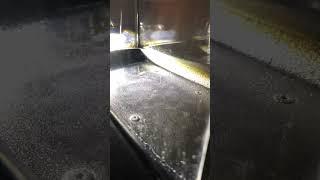 Why are most tracks horizontal in Wilson cloud chamber